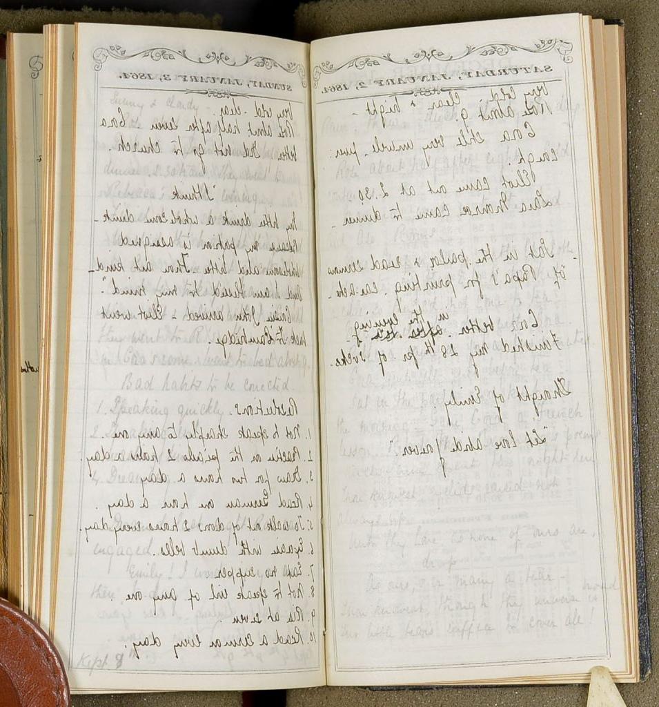 一本打开的日记的彩色图像，显示了几行手写的文字.